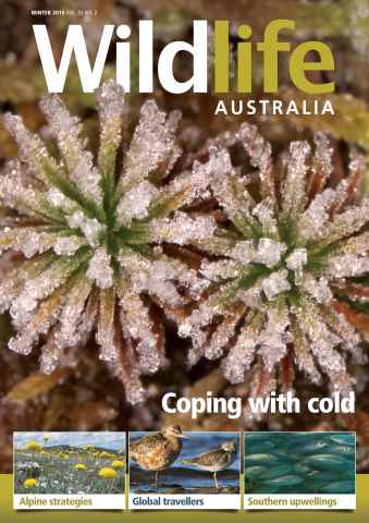 Wildlife Australia issue Wildlife Australia Winter 2015