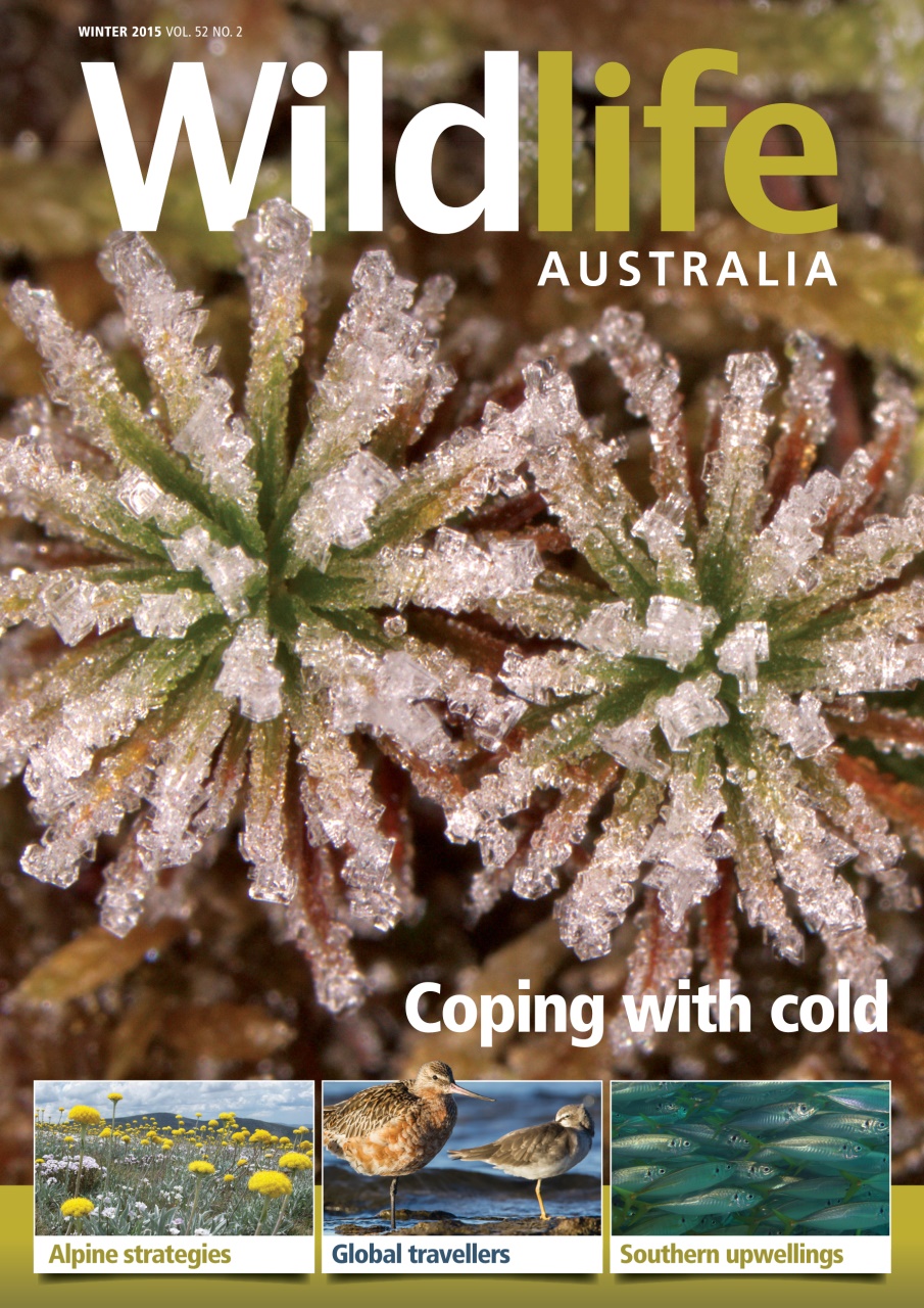 Wildlife Australia Preview Pages