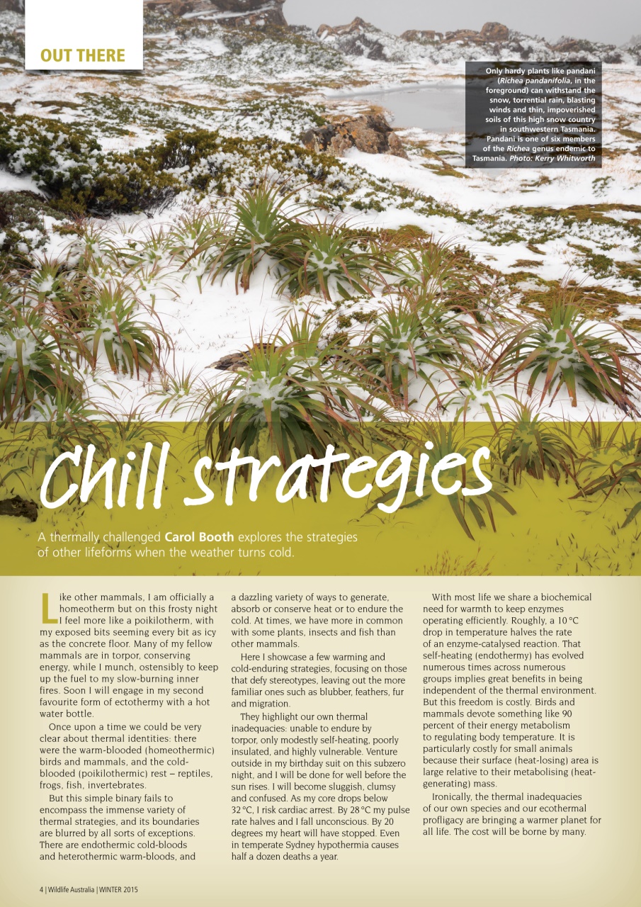 Wildlife Australia Preview Pages