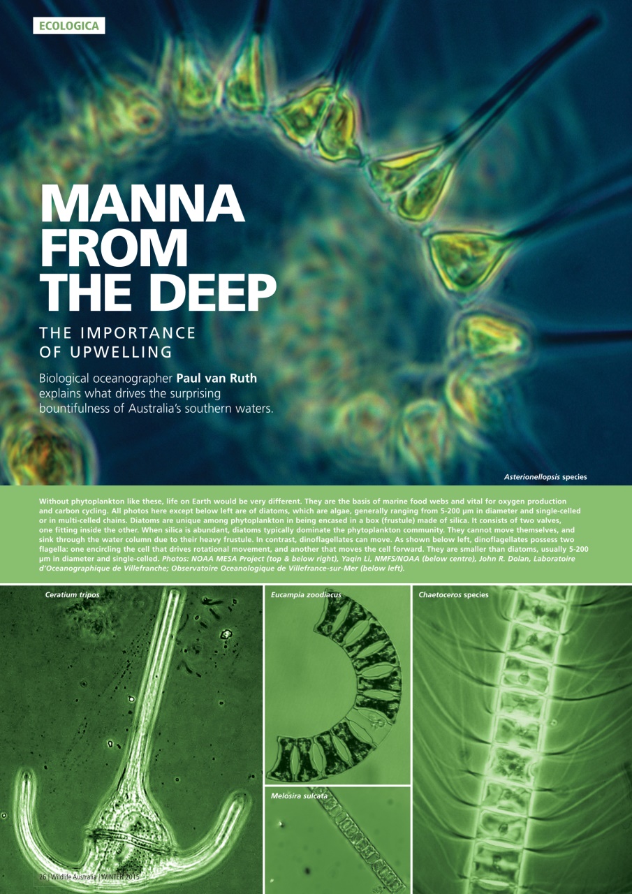 Wildlife Australia Preview Pages