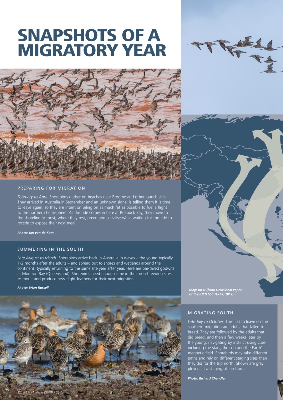 Wildlife Australia Preview Pages