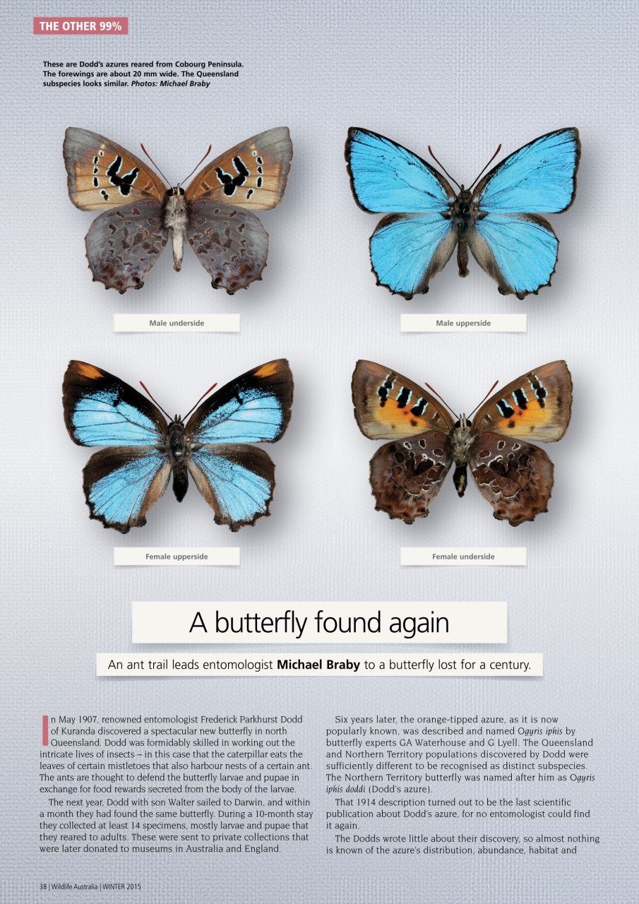 Wildlife Australia Preview Pages