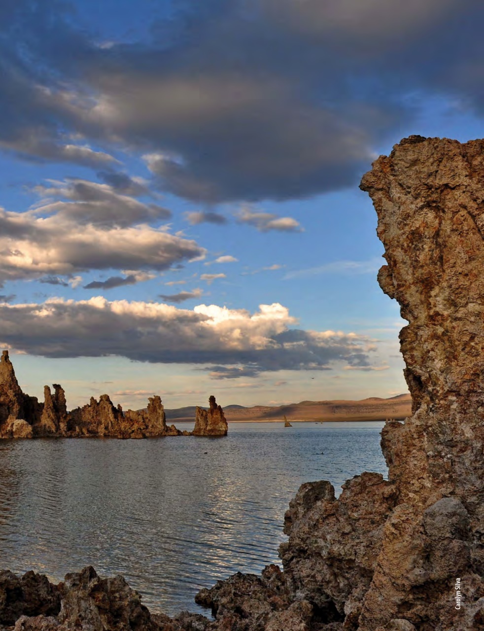 Snowbirds & RV Travelers Preview Pages