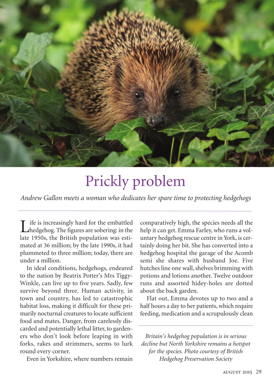 The Yorkshire Dalesman Preview Pages