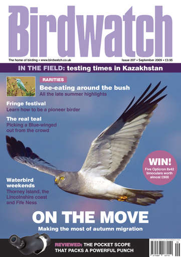 Birdwatch Magazine issue 