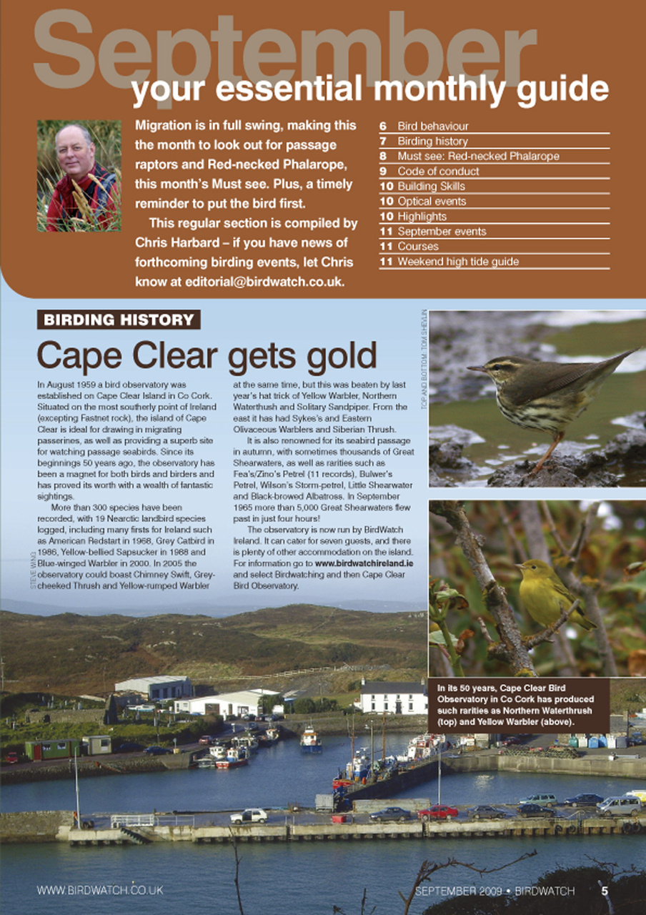 Birdwatch Magazine Preview Pages