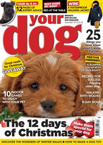 Your Dog issue Your Dog Magazine December 2015