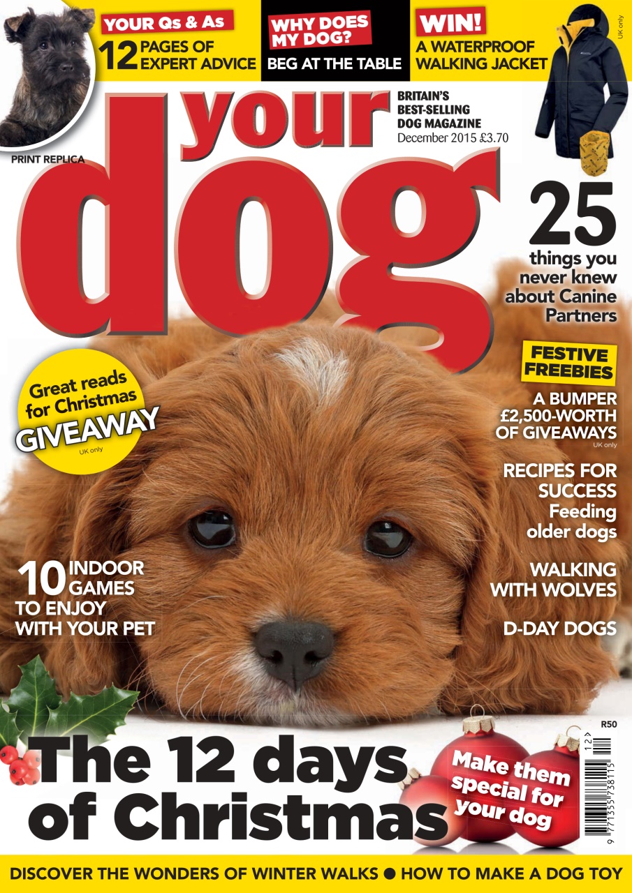 Your Dog Preview Pages