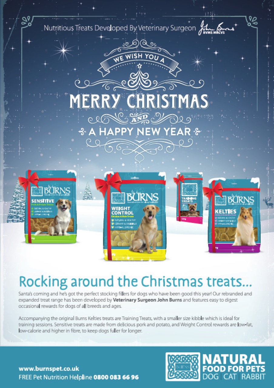 Your Dog Preview Pages