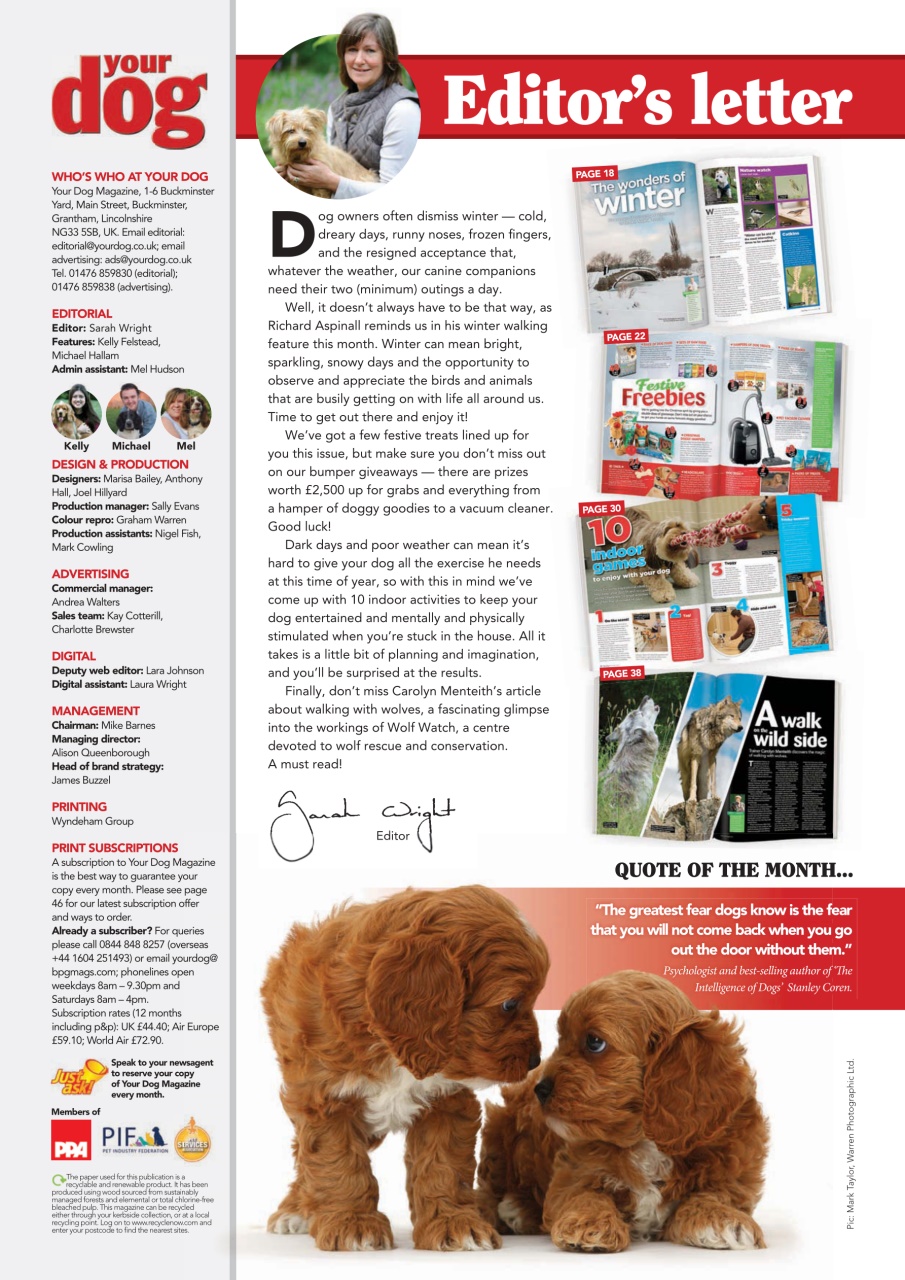 Your Dog Preview Pages