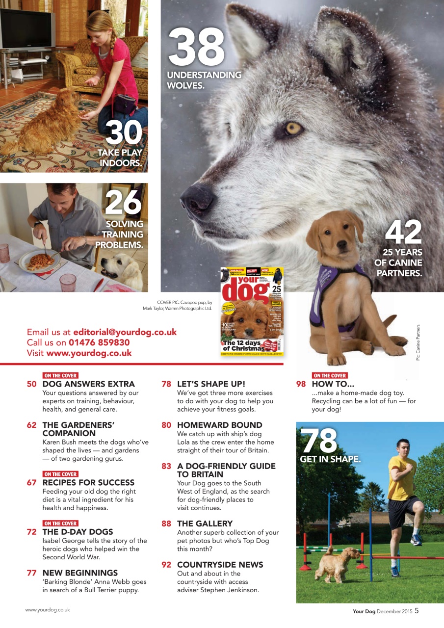 Your Dog Preview Pages