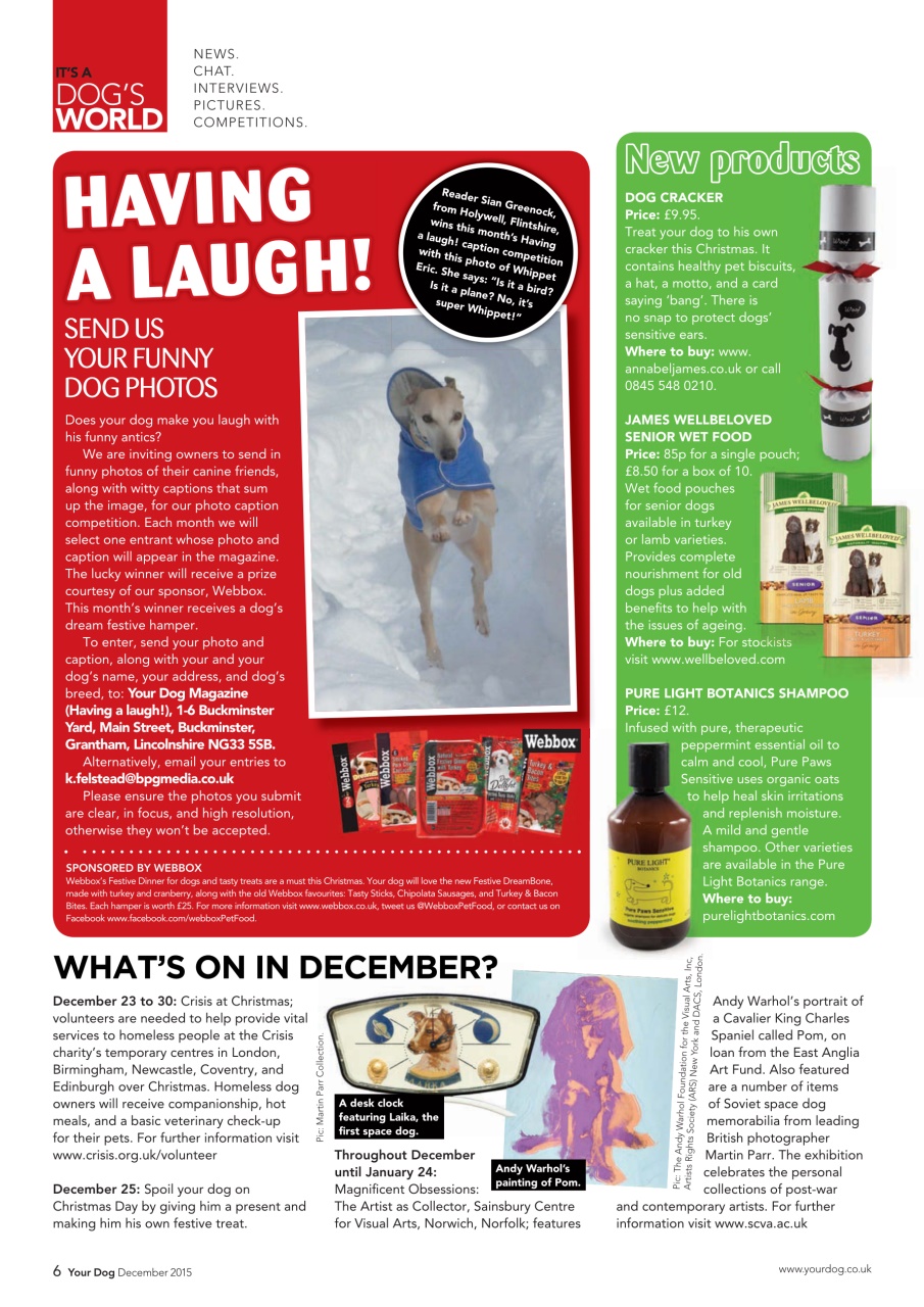 Your Dog Preview Pages