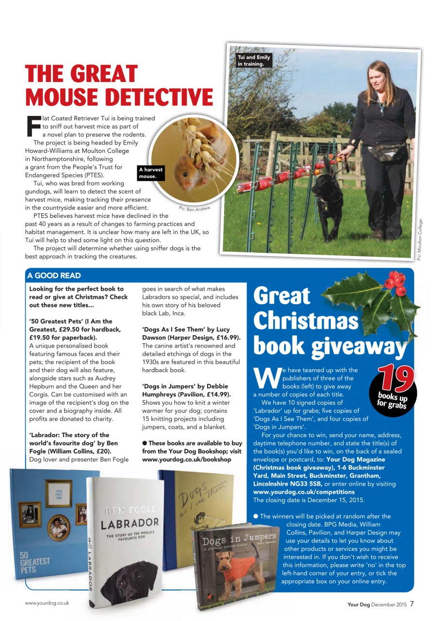 Your Dog Preview Pages