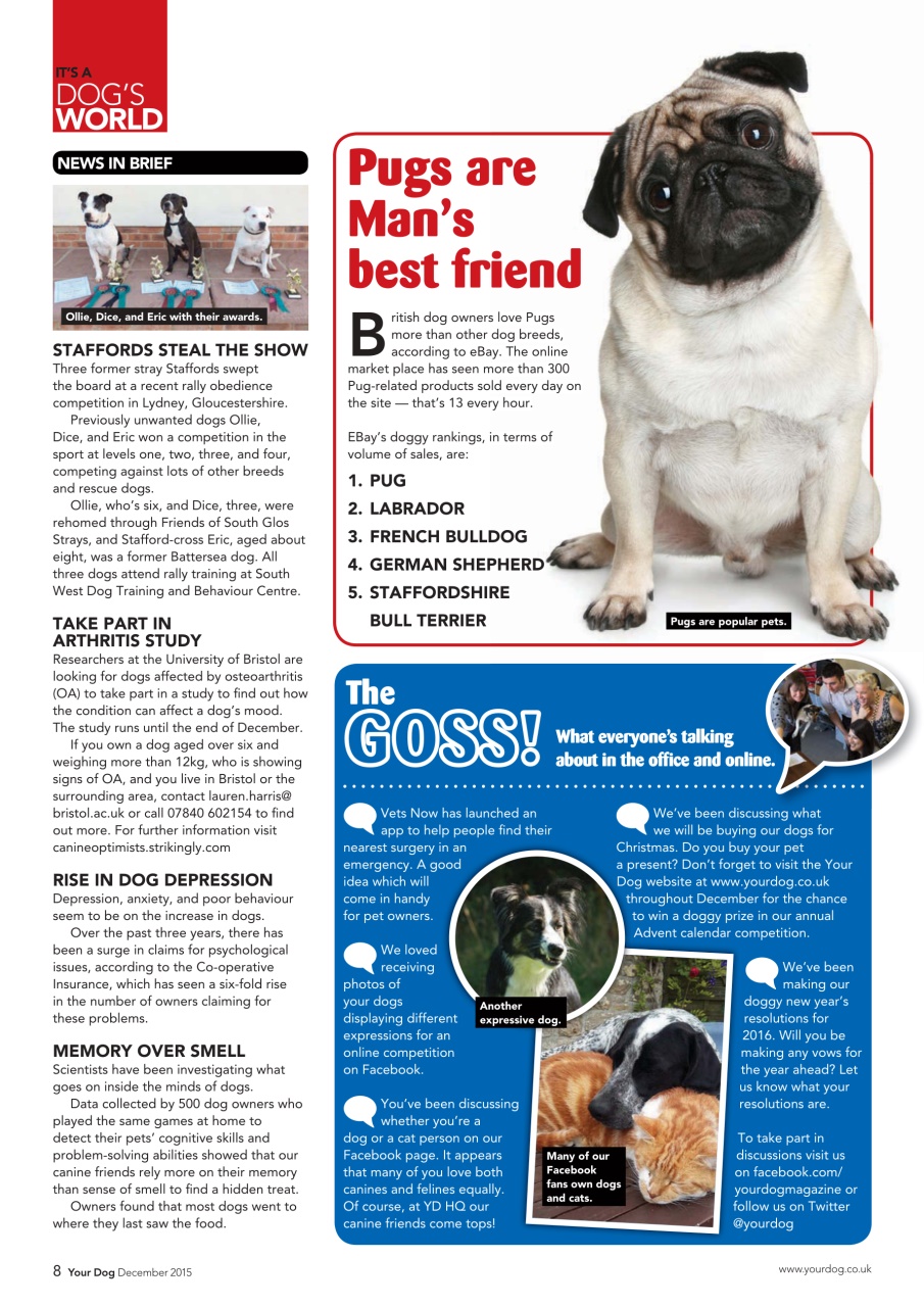 Your Dog Preview Pages