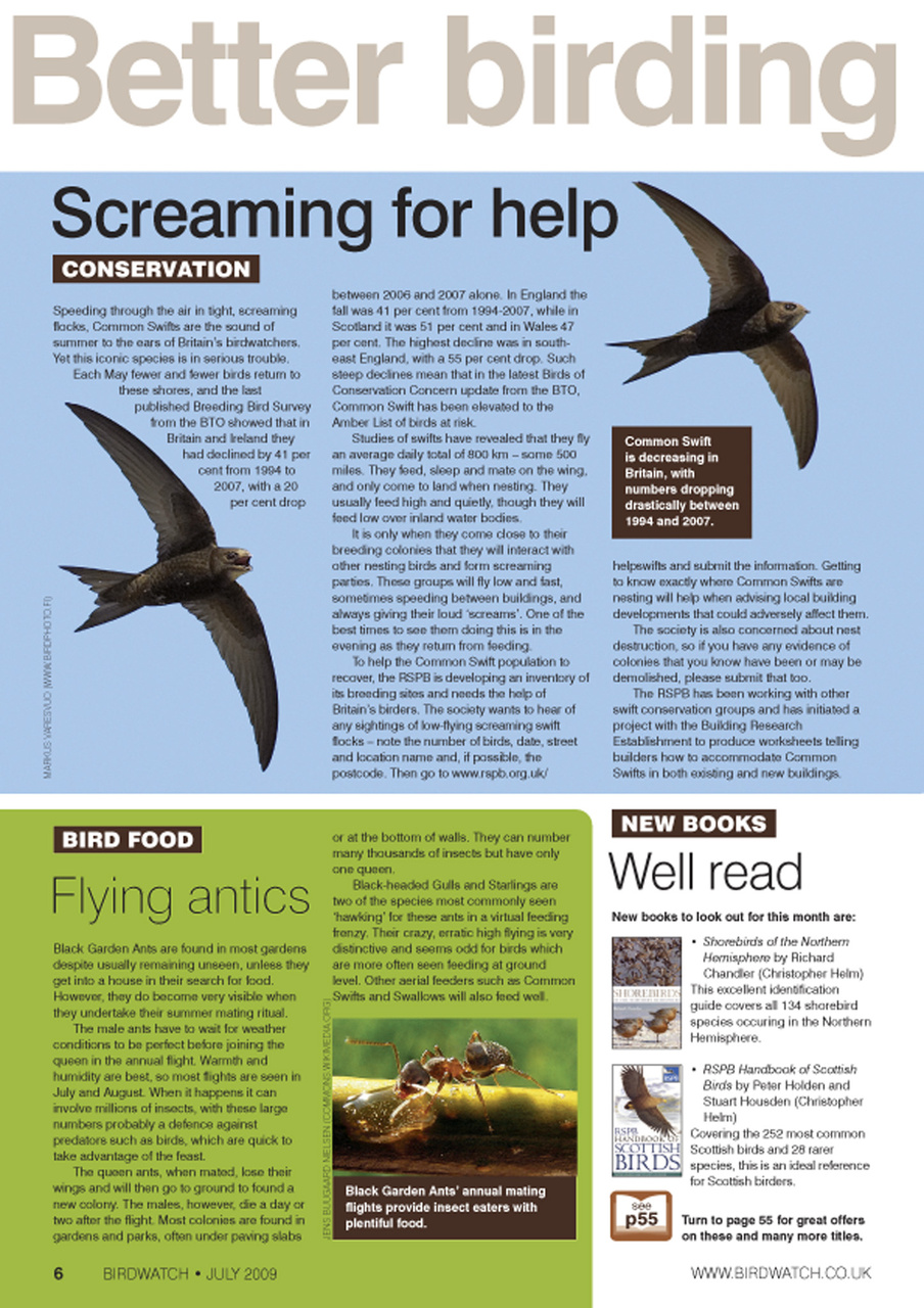 Birdwatch Magazine Preview Pages