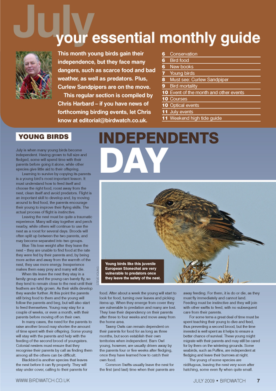 Birdwatch Magazine Preview Pages