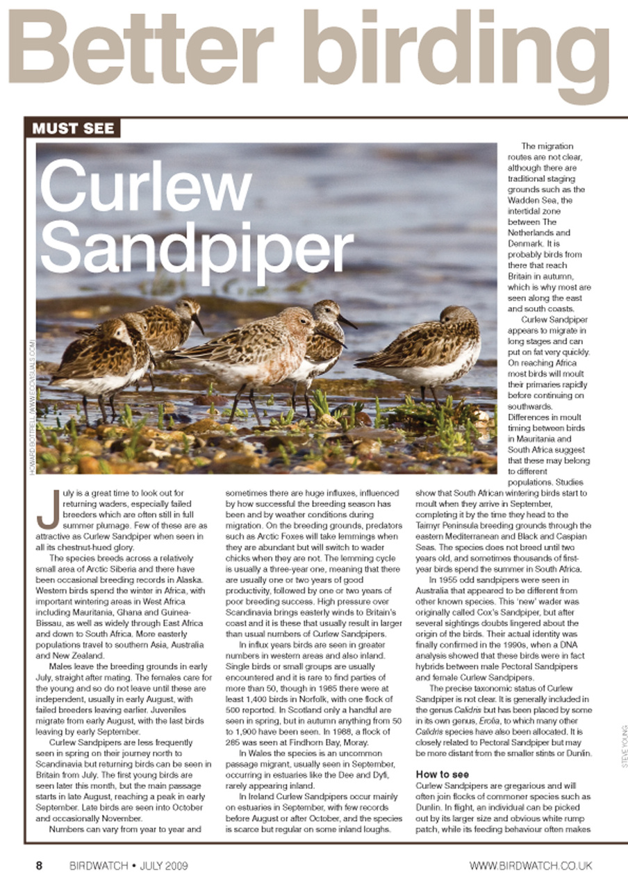 Birdwatch Magazine Preview Pages