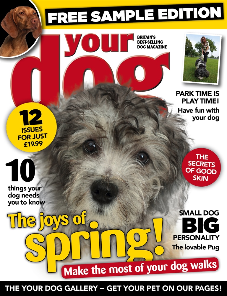 Your Dog Magazine Your Dog Magazine FREE sample issue Subscriptions