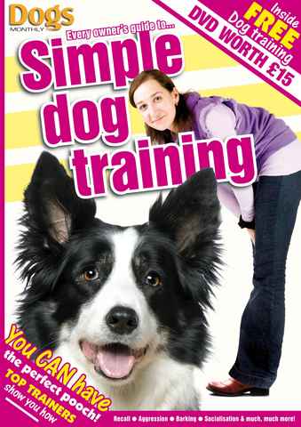 Simple Dog Training issue Simple Dog Training