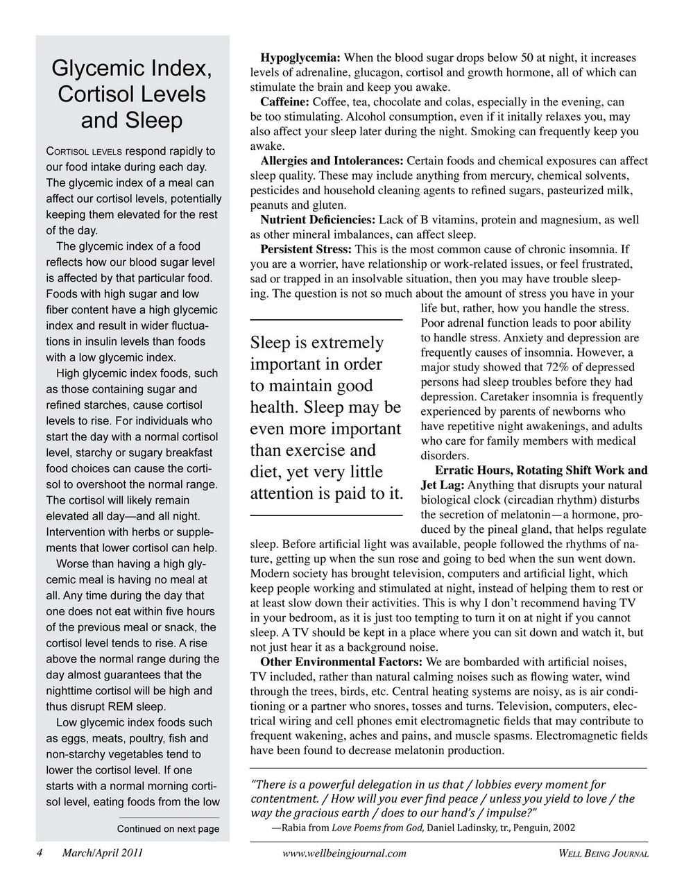 Well Being Journal Preview Pages