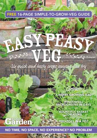 Easy Peasy Veg issue Easy Peasy Veg