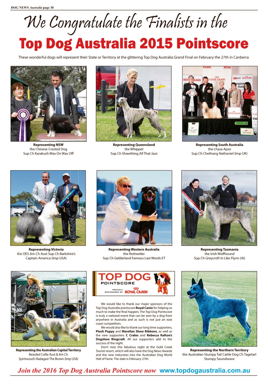 Dog News Australia 02 2016