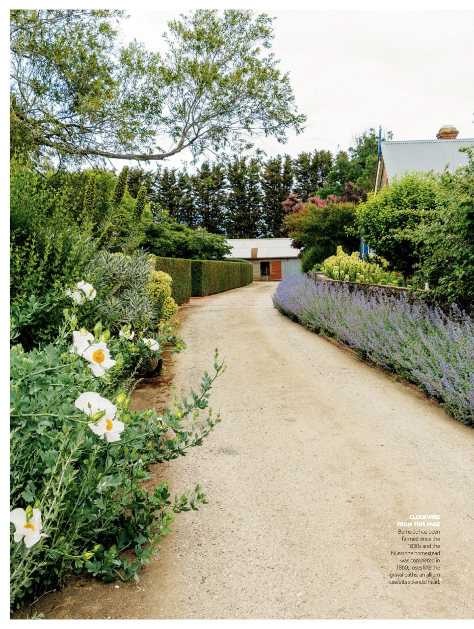 Australian Country Preview Pages