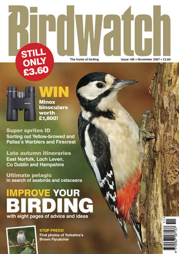 Birdwatch Magazine issue 