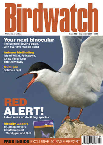 Birdwatch Magazine issue September 2007