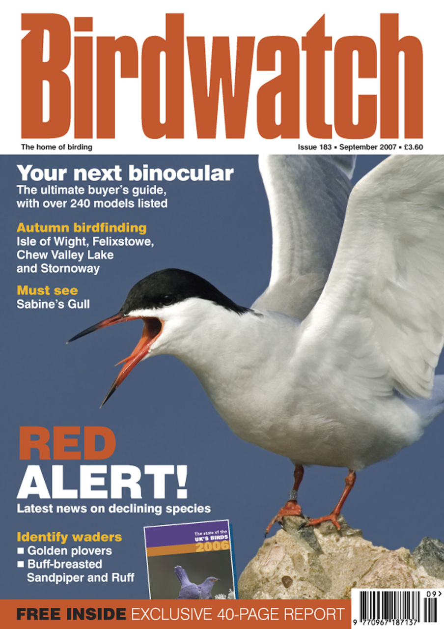 Birdwatch Magazine Preview Pages