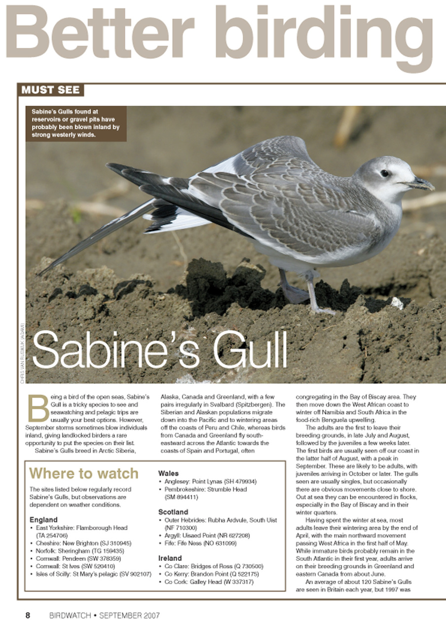 Birdwatch Magazine Preview Pages