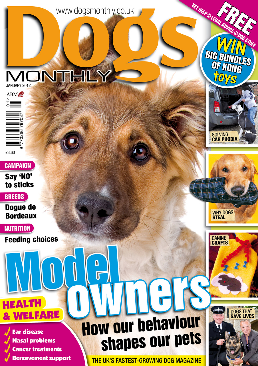 Dogs Monthly Preview Pages