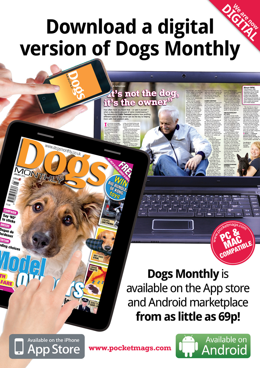 Dogs Monthly Preview Pages