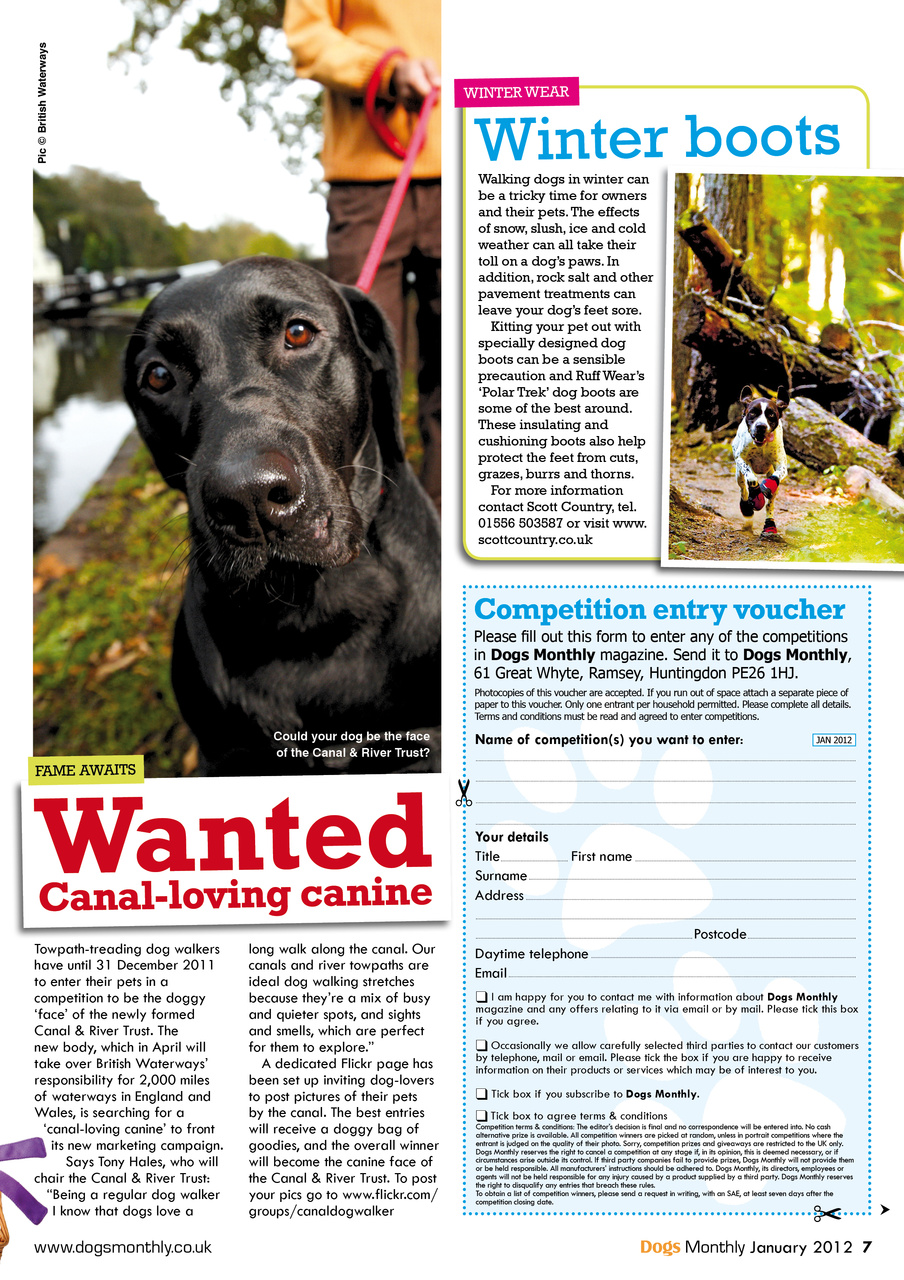 Dogs Monthly Preview Pages