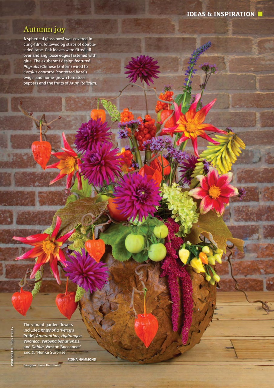 The Flower Arranger Autumn 16