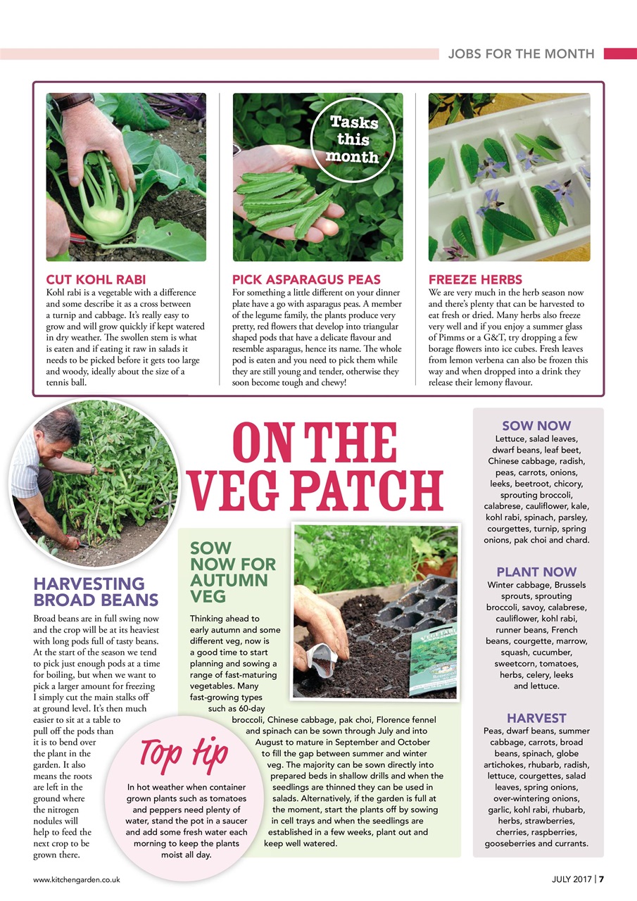 Kitchen Garden Magazine Preview Pages