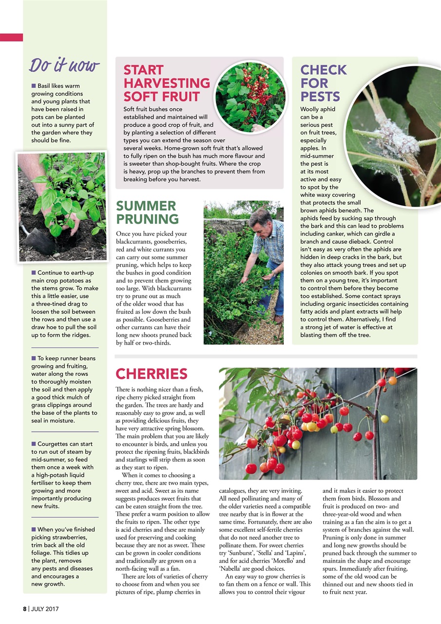 Kitchen Garden Magazine Preview Pages
