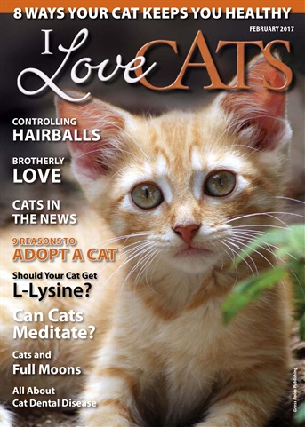 February 2017 issue February 2017