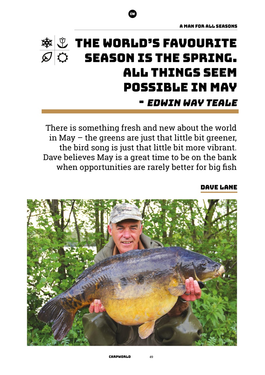Carpworld Preview Pages