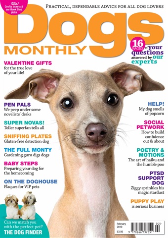 February 2019 issue February 2019