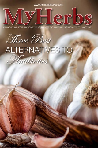 Healing without antibiotics issue Healing without antibiotics