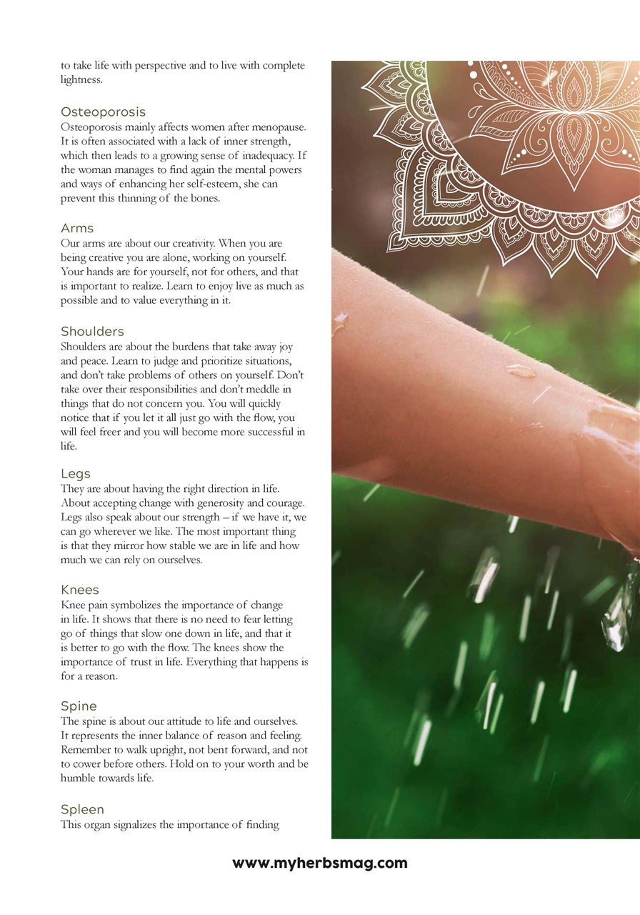 My Herbs Magazine Preview Pages