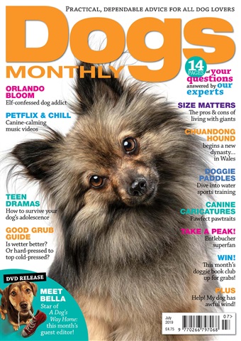 July 2019 issue July 2019