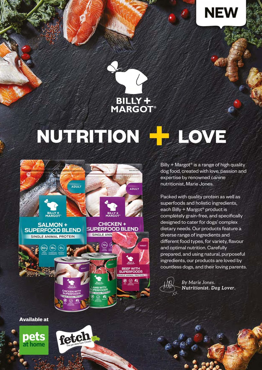 Dogs Monthly Preview Pages