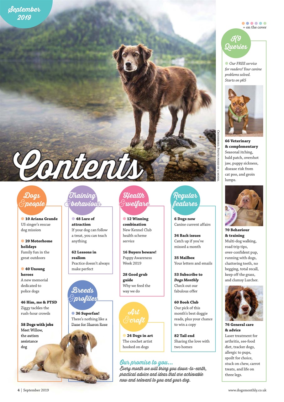 Dogs Monthly Preview Pages
