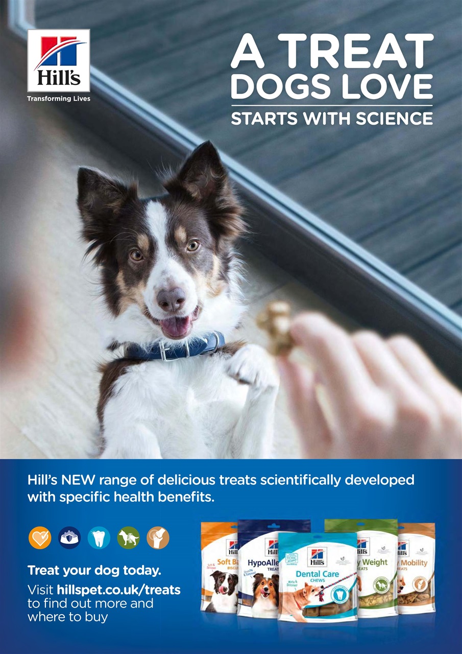 Dogs Monthly Preview Pages