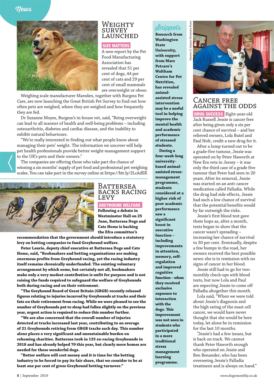 Dogs Monthly Preview Pages