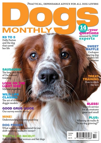 October 2019 issue October 2019