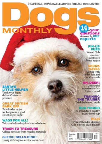 December 2019 issue December 2019