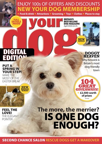 FREE Sample Issue issue FREE Sample Issue